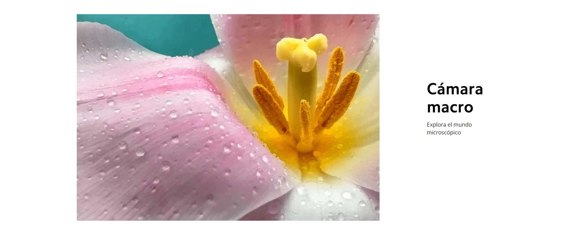 Xiaomi Redmi Note 12